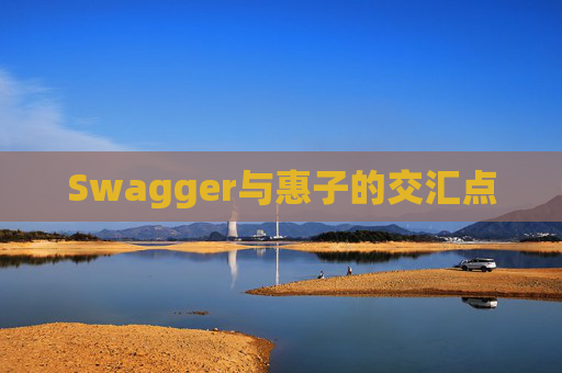 Swagger与惠子的交汇点